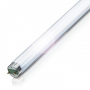 Люминесцентная лампа T8 Philips TL-D 36W/830 SUPER 80 G13, 1200 mm
